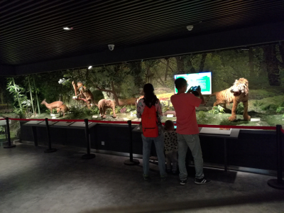 IMG_20160918_150200.jpg IMG_20160918_150200.jpg
